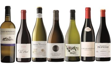 Los mejores vinos de 2021, según ‘El Viajero’ Los mejores vinos de 2021, según ‘El Viajero’