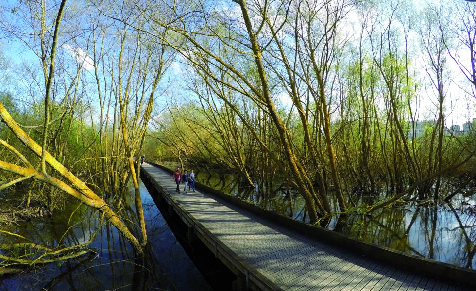 Las más de 700 hectáreas del Anillo Verde invitan a caminar, correr o pedalear. Y sin saturación.