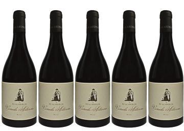 Viñedo Saturno 2020, oro líquido del Bierzo Viñedo Saturno 2020, oro líquido del Bierzo