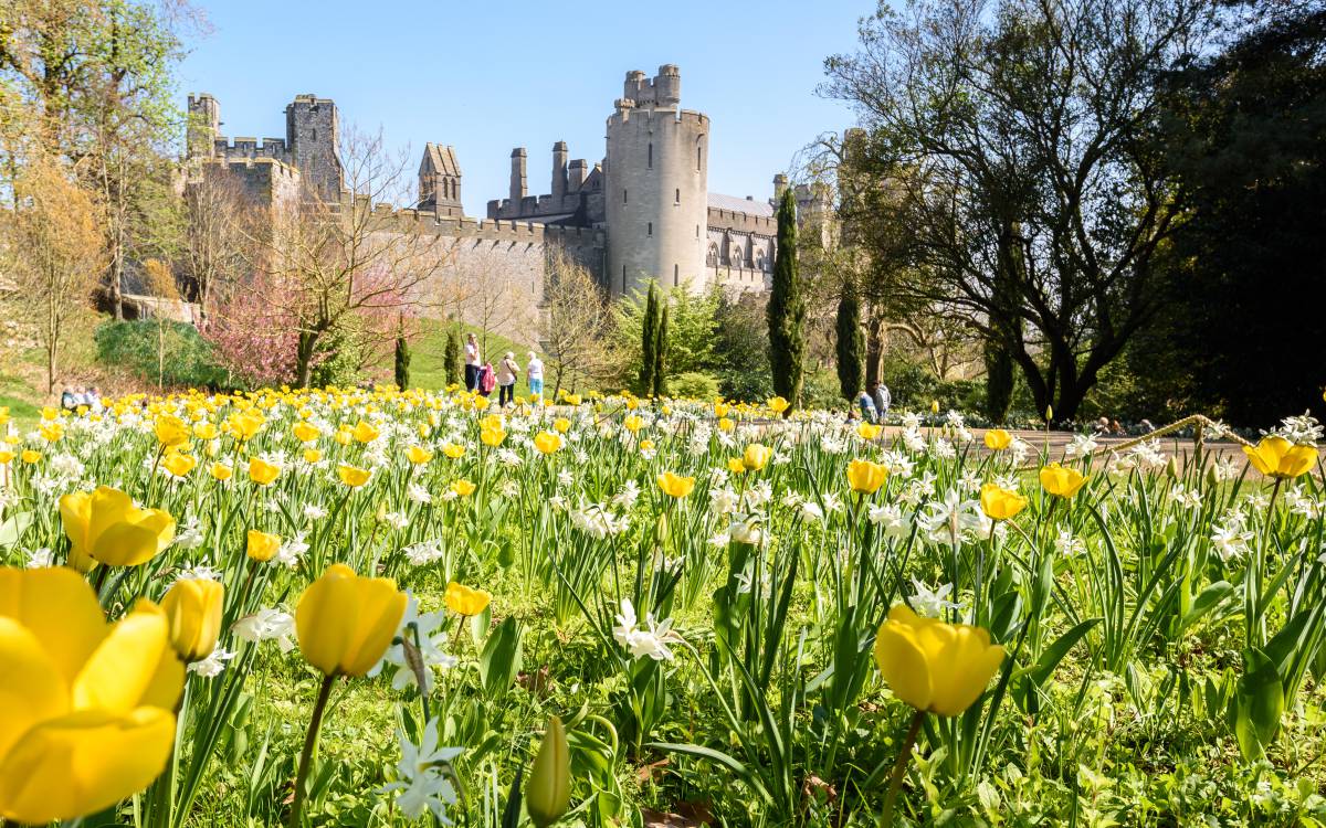 Jardines Sussex