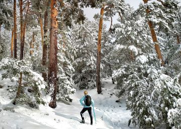 Un día en la villa serrana de Cercedilla y sus alrededores Un día en la villa serrana de Cercedilla y sus alrededores