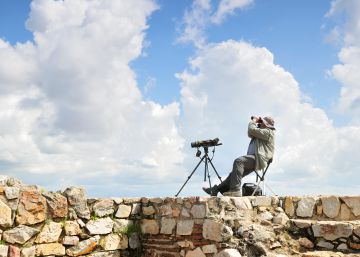 Siete enclaves naturales en España para disfrutar del placer de observar aves Siete enclaves naturales en España para disfrutar del placer de observar aves