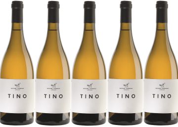 Tino 2019, fresca golosina cítrica Tino 2019, fresca golosina cítrica