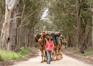 La aventura de Sophie Matterson: cruzar Australia de costa a costa con cinco camellos