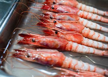 Gambas rojas de Dénia.