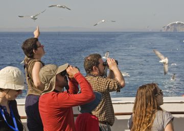 Las 10 aplicaciones más útiles para observar aves en España Las 10 aplicaciones más útiles para observar aves en España