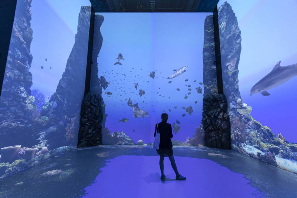 Interior del Museo Oceanográfico de Mónaco.