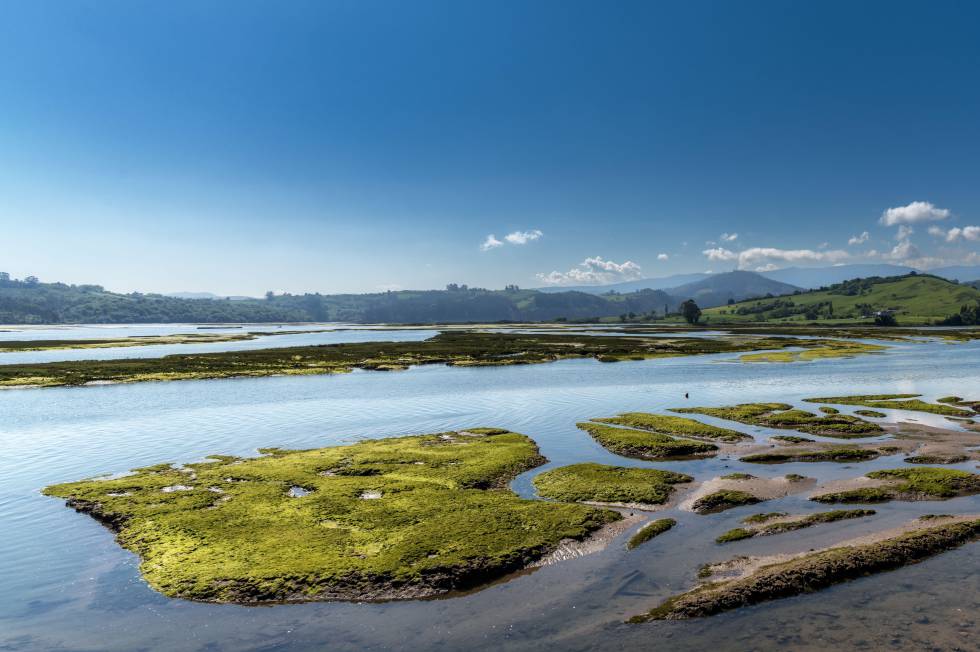 Marisma de Pombo, en el delta del río San Vicente.