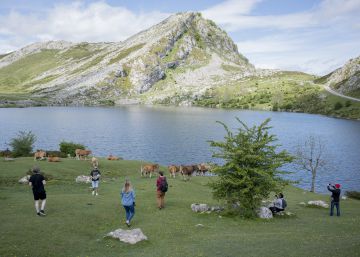 Las reseñas de los turistas, tan útiles o tan inútiles: una cuenta de Twitter señala comentarios absurdos sobre Asturias Las reseñas de los turistas, tan útiles o tan inútiles: una cuenta de Twitter señala comentarios absurdos sobre Asturias