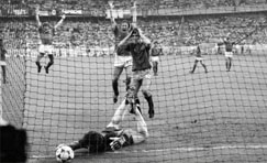 La fiebre de Platini