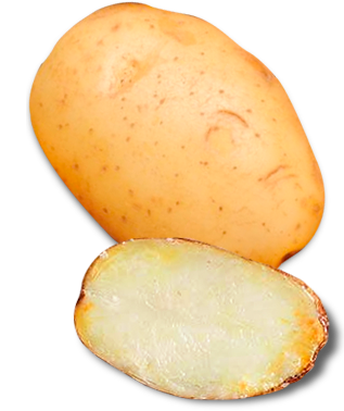 Patatas