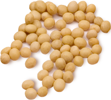 Soja