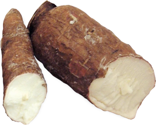 Yuca