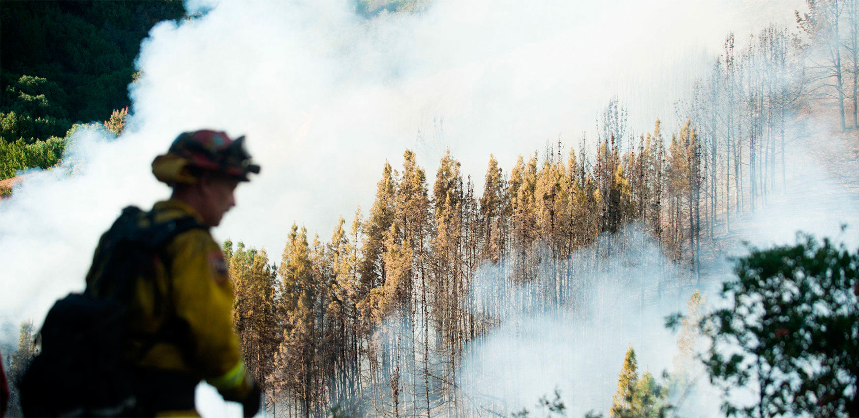 Bomberos en un bosque ardiendo