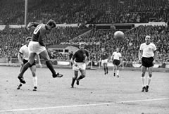 Inglaterra 1966