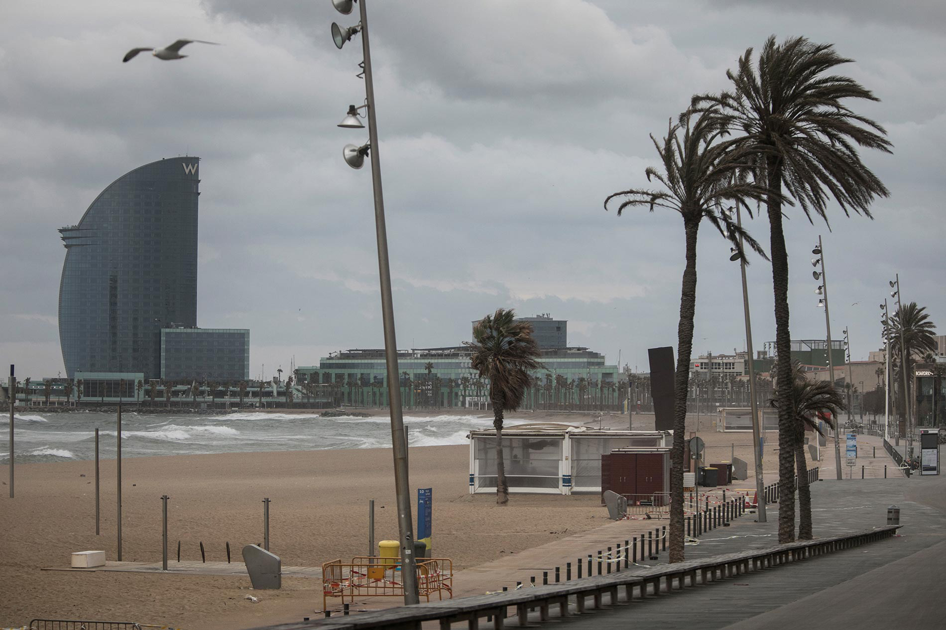 Barcelona. Playa de la Barceloneta