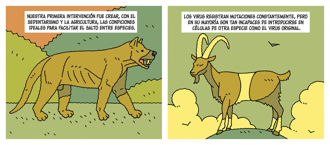 Diálogos de las viñetas: Nuestra primera intervención fue crear, con el sedentarismo y la agricultura, las condiciones ideales para facilitar el salto entre especies. Los virus registran mutaciones constantemente, pero en su mayoría son tan incapaces de introducirse en células de otra especie como el virus original.