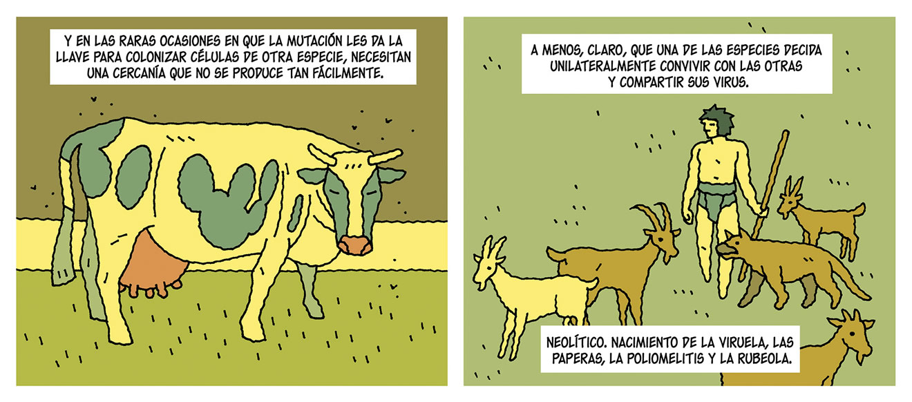 Diálogos de las viñetas: Y en las raras ocasiones en que la mutación les da la llave para colonizar células de otra especie, necesitan una cercanía que no se produce tan fácilmente. A menos, claro, que una de las especies decida unilateralmente convivir con las otras y compartir su virus. Neolítico. Nacimiento de la viruela, las paperas, la poliomelitis y la rubeola.