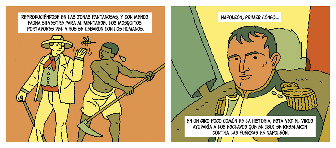 Diálogos de las viñetas: Reproduciéndose en las zonas pantanosas, y con menos fauna silvestre para alimentarse, los mosquitos portadores del virus se cebaron con los humanos. Napoleón, primer cónsul. En un giro poco común de la historia, esta vez el virus ayudaría a los esclavos que en 1801 se rebelaron contra las fuerzas de Napoleón.