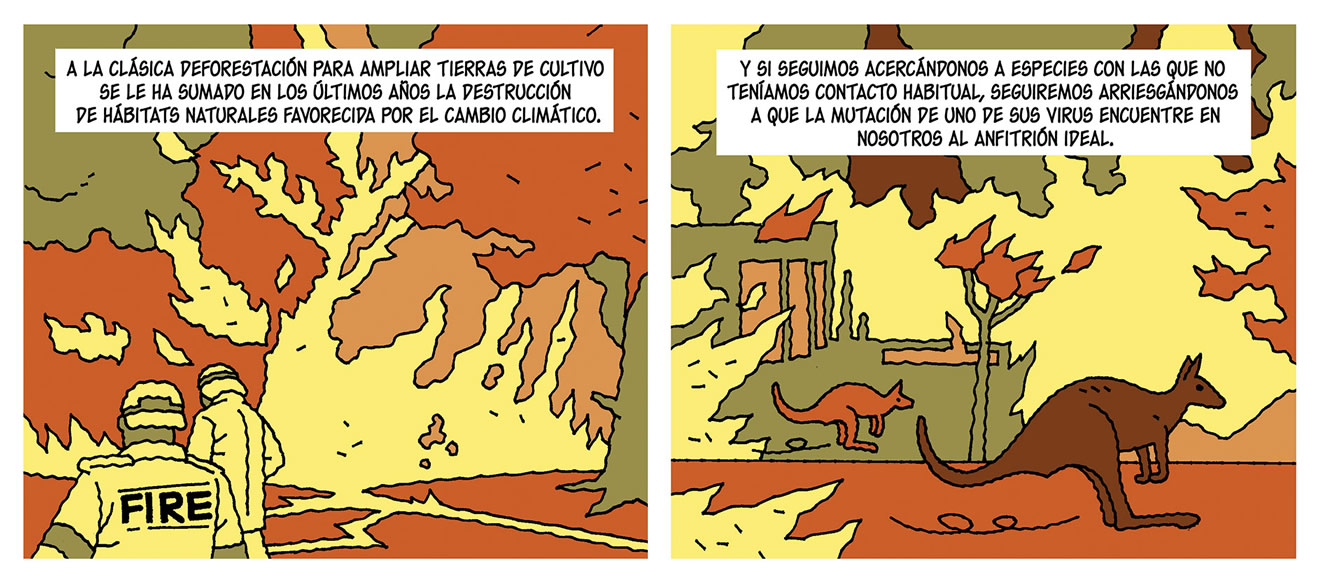 Diálogos de las viñetas: A la clásica deforestación para ampliar tierras de cultivo se le ha sumado en los últimos años la destrucción de hábitats naturales favorecida por el cambio climático. Y si seguimos acercándonos a especies con las que no teníamos contacto habitual, seguiremos arriesgándonos a que al mutación de uno de sus virus encuentre en nosotros al anfitrión ideal.