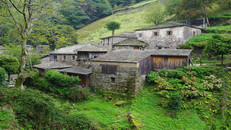 Os Teixois