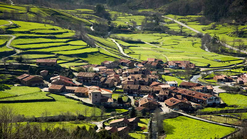 Carmona