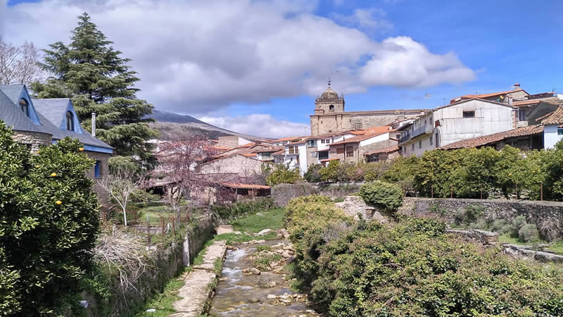 Acebo (Cáceres)
