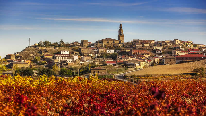 Briones