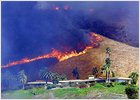 Miles de evacuados en California debido a un gran incendio que amenaza a Los Angeles