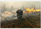 Controlado el incendio que ha obligado a evacuar a miles de campistas en la Costa Azul