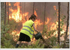 Una ola de incendios sacude el norte y centro de Portugal