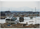 El cementerio del progreso japonés El cementerio del progreso japonés