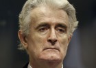 Karadzic: