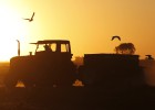 La patronal agraria vuelve a la huelga en Argentina