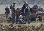 Colonos y soldados se enfrentan en la evacuación de un predio palestino Colonos y soldados se enfrentan en la evacuación de un predio palestino