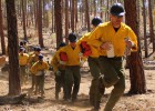 Los 19 bomberos fallecidos