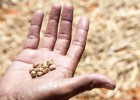 Latinoamérica desperdicia el 15% de los alimentos que produce Latinoamérica desperdicia el 15% de los alimentos que produce