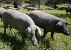 De cómo Europa corta el jamón