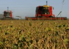 Consumo e soja: um modelo esgotado na Argentina