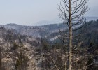 El incendio en la Patagonia argentina se extiende