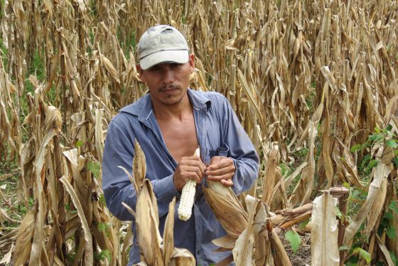 Pequeños agricultores de América Latina llegan a Wall Street