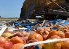 Rusia destruye tres toneladas de limones españoles Rusia destruye tres toneladas de limones españoles