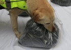 Colombia se incauta de una tonelada de cocaína negra Colombia se incauta de una tonelada de cocaína negra