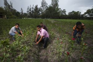 Alumnos de primer año en el huerto de Ayoztinapa.