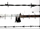 Hitler té futur