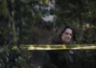 Una matanza al día
