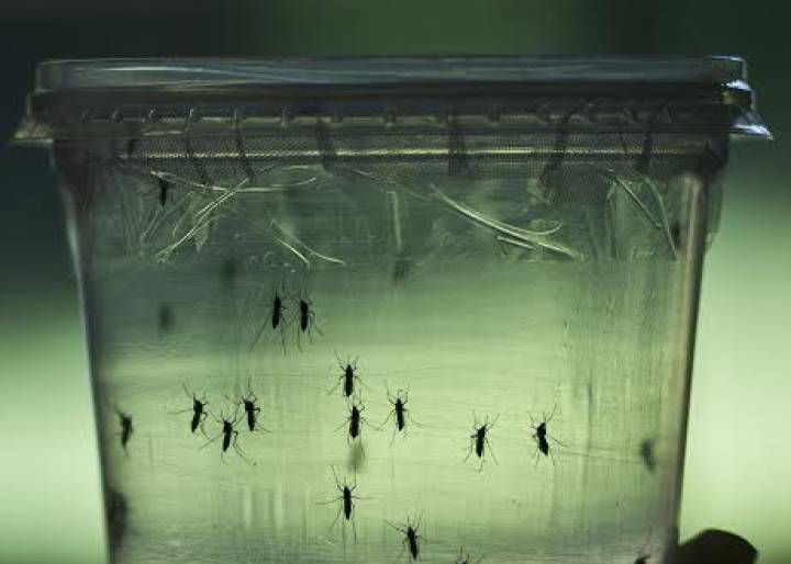 Diez preguntas y respuestas sobre el virus zika Diez preguntas y respuestas sobre el virus zika