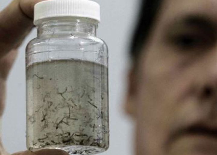 Diez preguntas y respuestas sobre el virus zika Diez preguntas y respuestas sobre el virus zika