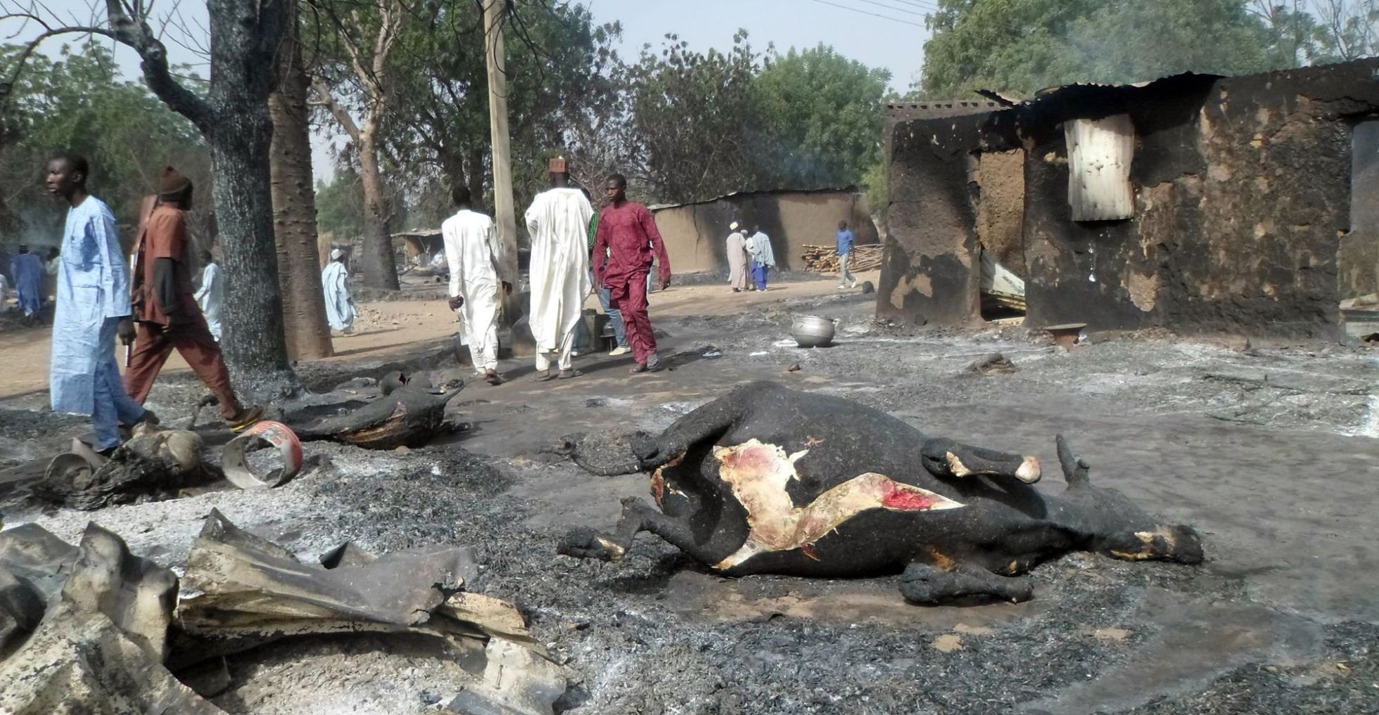 Vecinos de Dalori caminan junto a una vaca carbonizada. Vecinos de Dalori caminan junto a una vaca carbonizada.