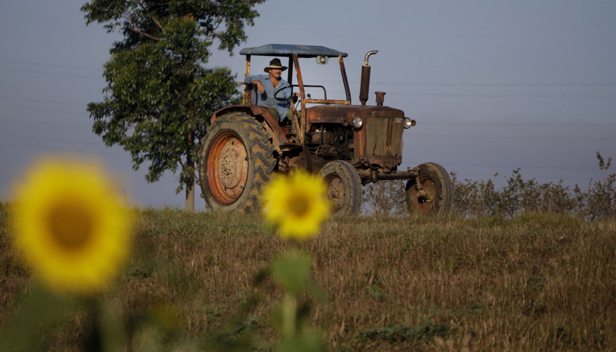 Fotografía de archivo de un tractor en Pinar del Rio (Cuba) Fotografía de archivo de un tractor en Pinar del Rio (Cuba)